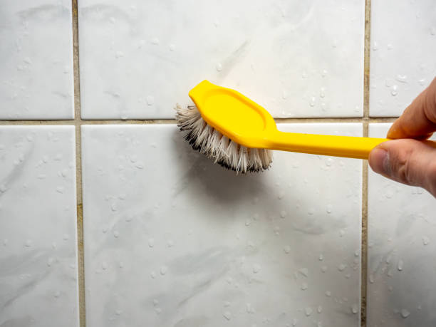 Best Toxic Mold Removal  in Airy Heights, WA