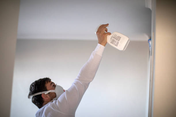 Best Mold Removal Company Near Me  in Airy Heights, WA