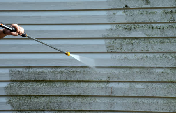 Best Commercial Mold Removal  in Airy Heights, WA
