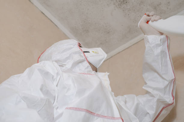 Best Crawl Space Mold Removal  in Airy Heights, WA